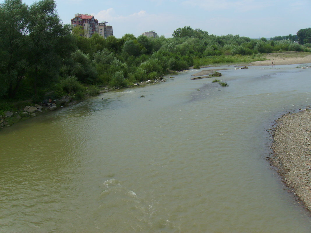 Река  Быстрица  Солотвинская  в  Ивано - Франковске - Андрей  Васильевич Коляскин
