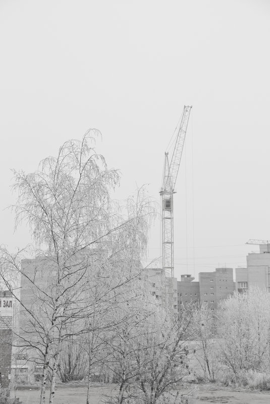 В тумане - Надежда Чернышева
