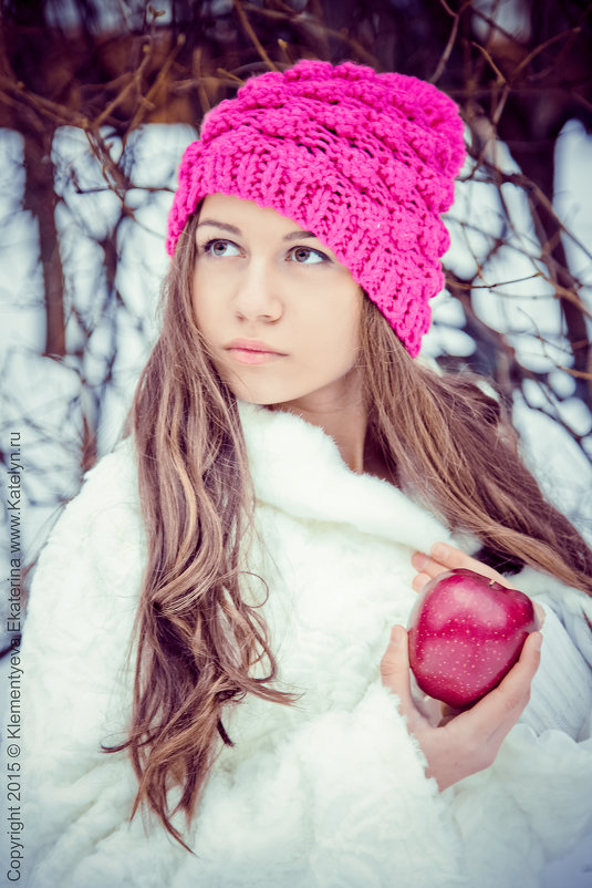 Зимний портрет - Екатерина Ветловская