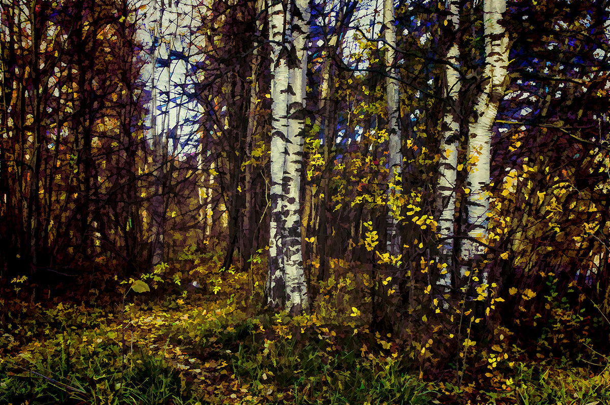 Осенний лес - Алексей Бажан