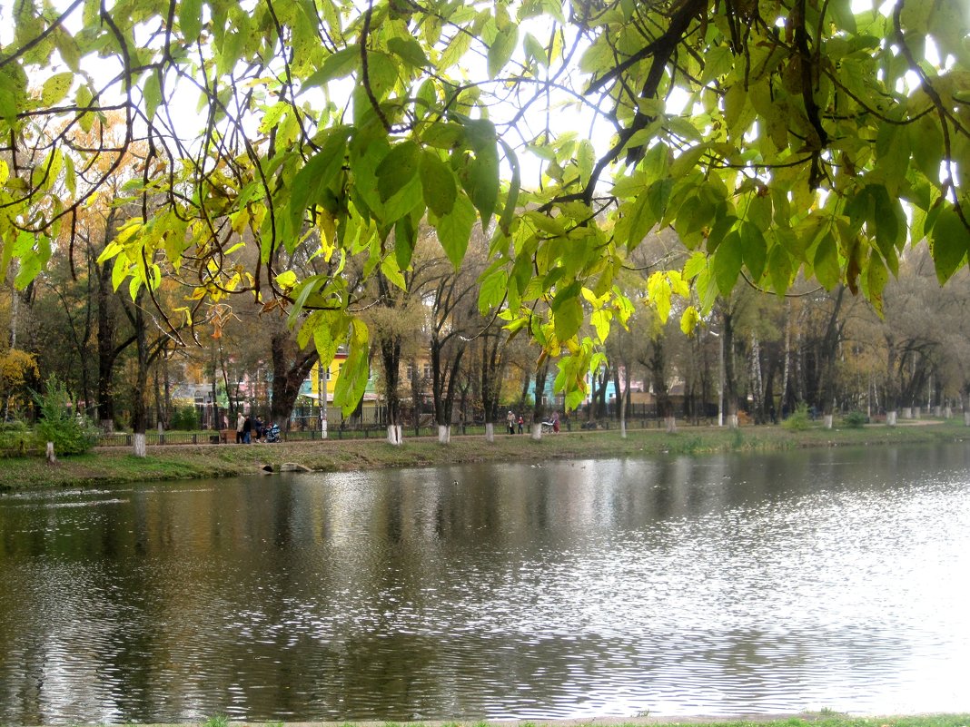 осень в городе - Елена Семигина