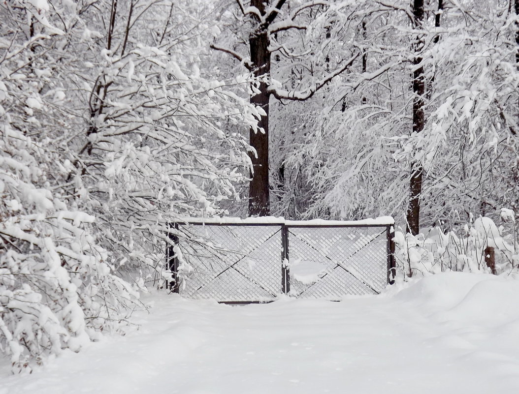 Ворота в зиму - Liliya Kharlamova