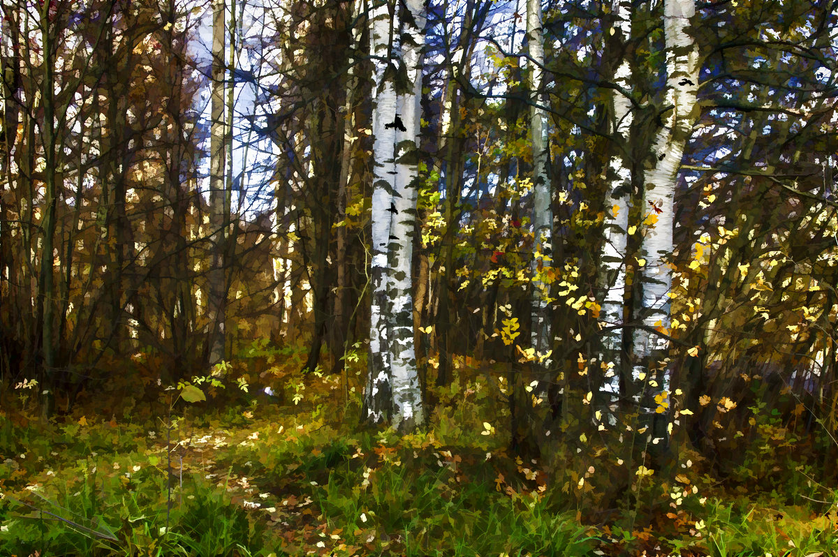 Осенний лес 2 - Алексей Бажан