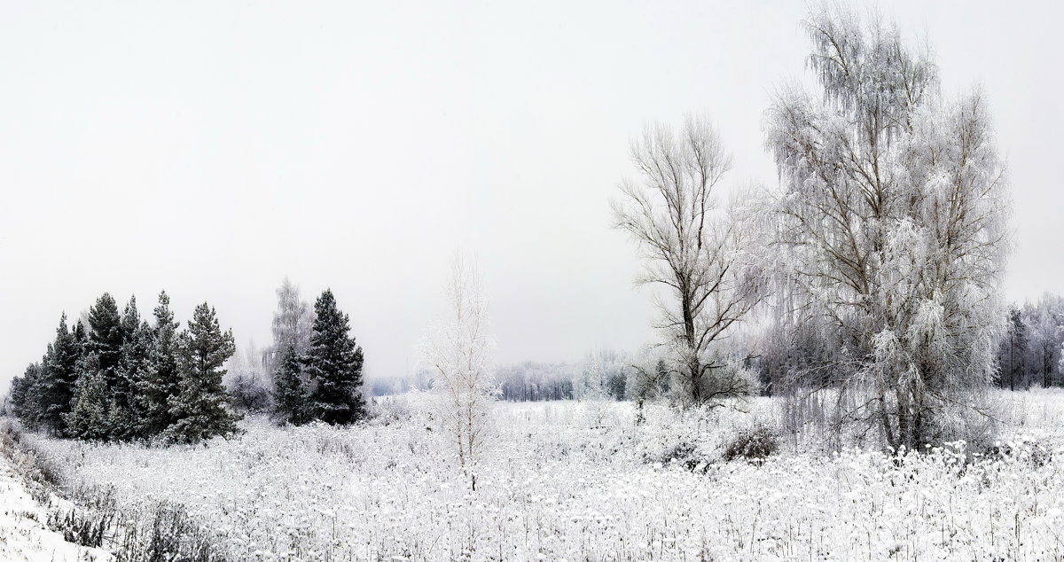 Первый снег - Алексей Дмитриев