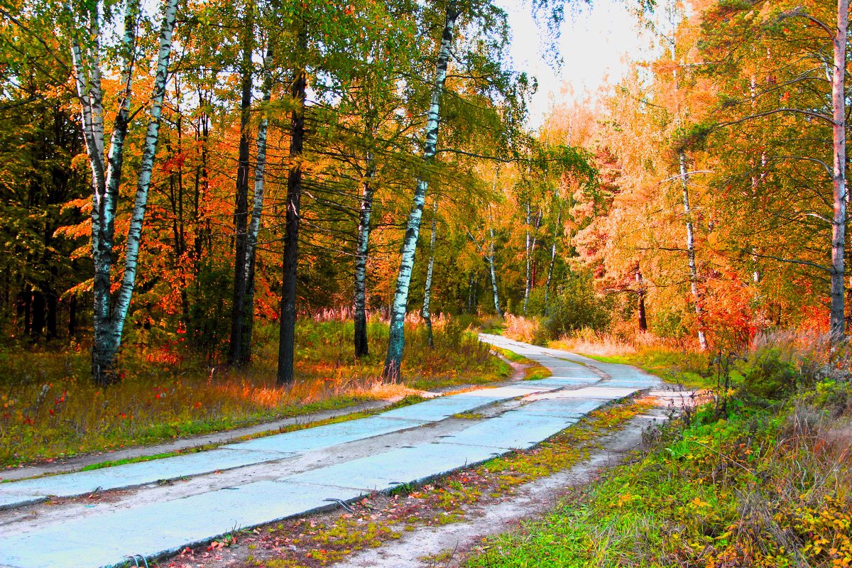 осень золотая - Краснов  Ю Ф 