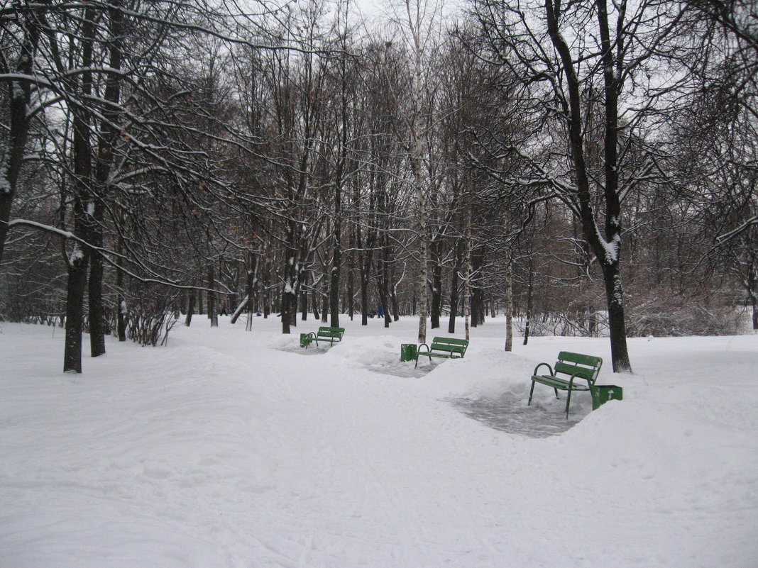 В зимнем парке - Джулия К.