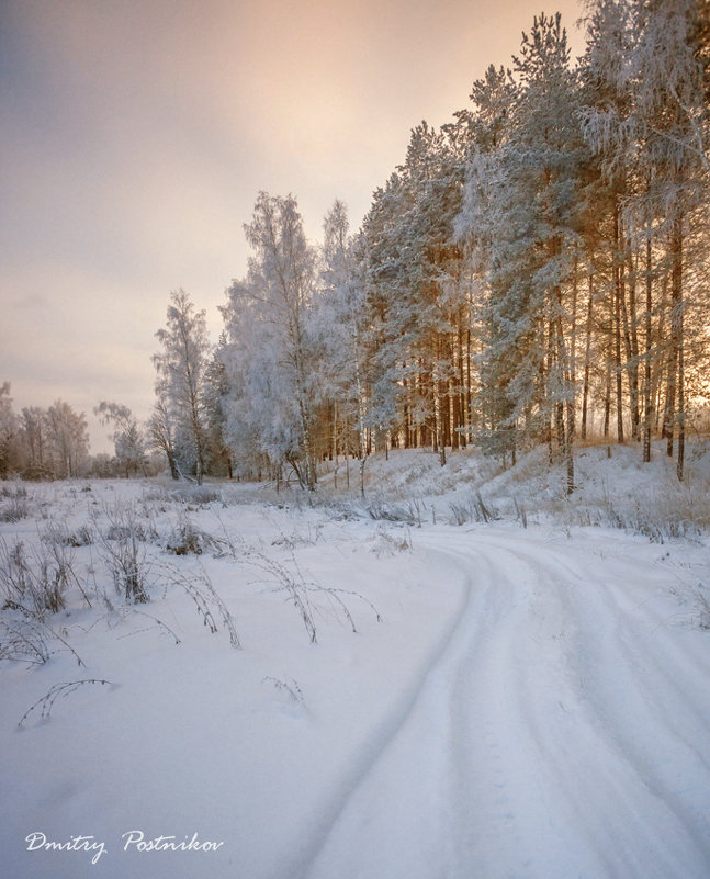 Зимний пейзаж - Дмитрий Постников