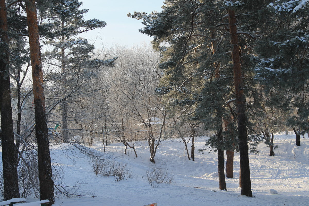 *** - Олег Афанасьевич Сергеев