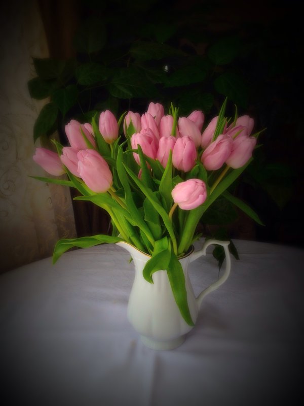 Тюльпаны - Мария Корнилова
