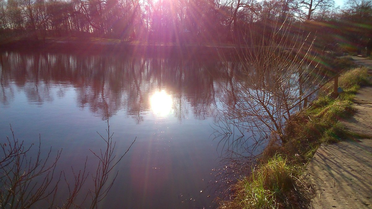 Солнце в озере - ЕЛЕНА СОКОЛЬНИКОВА