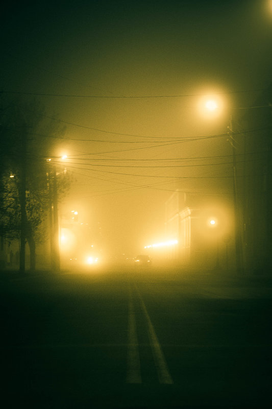 Туман, дорога - Дмитрий 