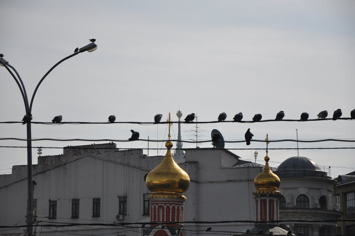 Москва златоглавая. - Иван Найдович