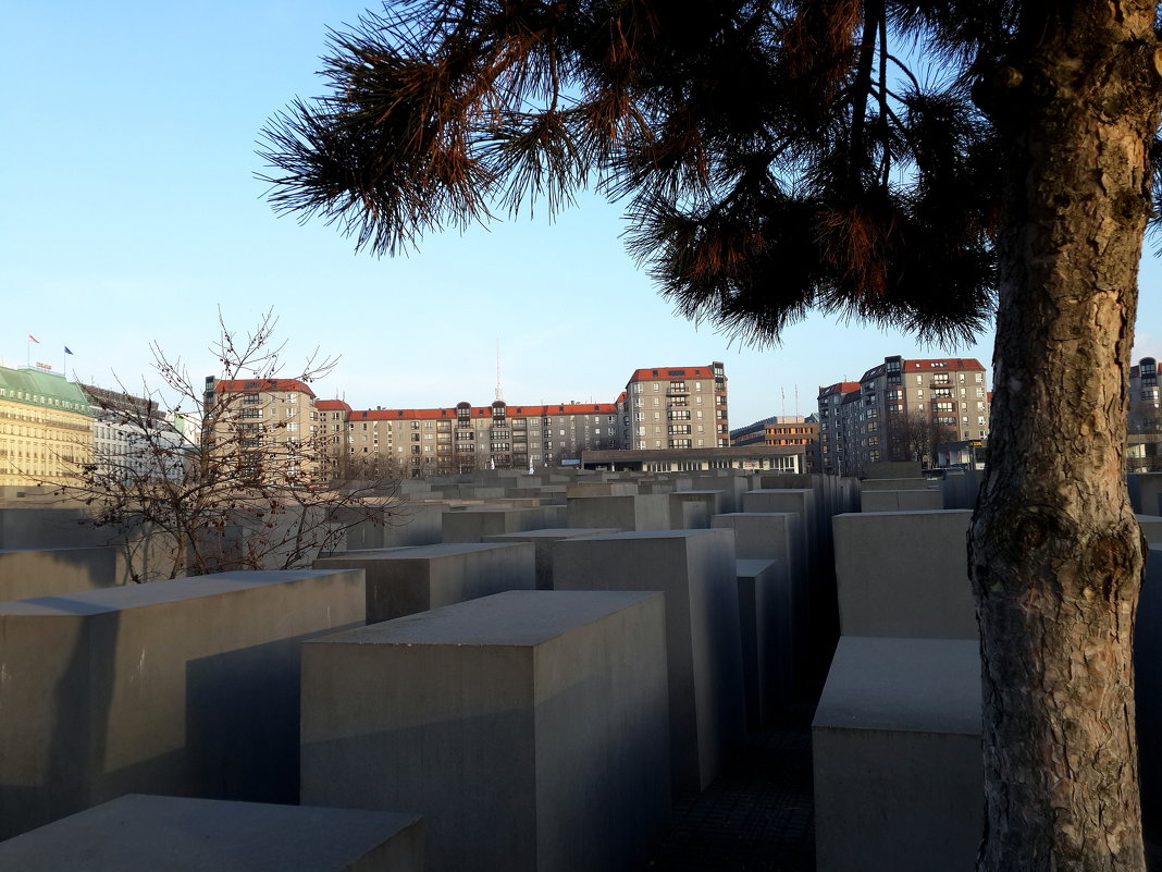 Памятник жертвам Холокоста в Берлине - 2сello Olga