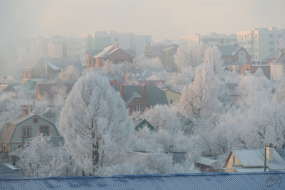 Морозное утро - Алексей Зайцев