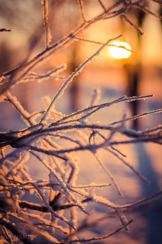 Along the winter sun - Лия Чурина