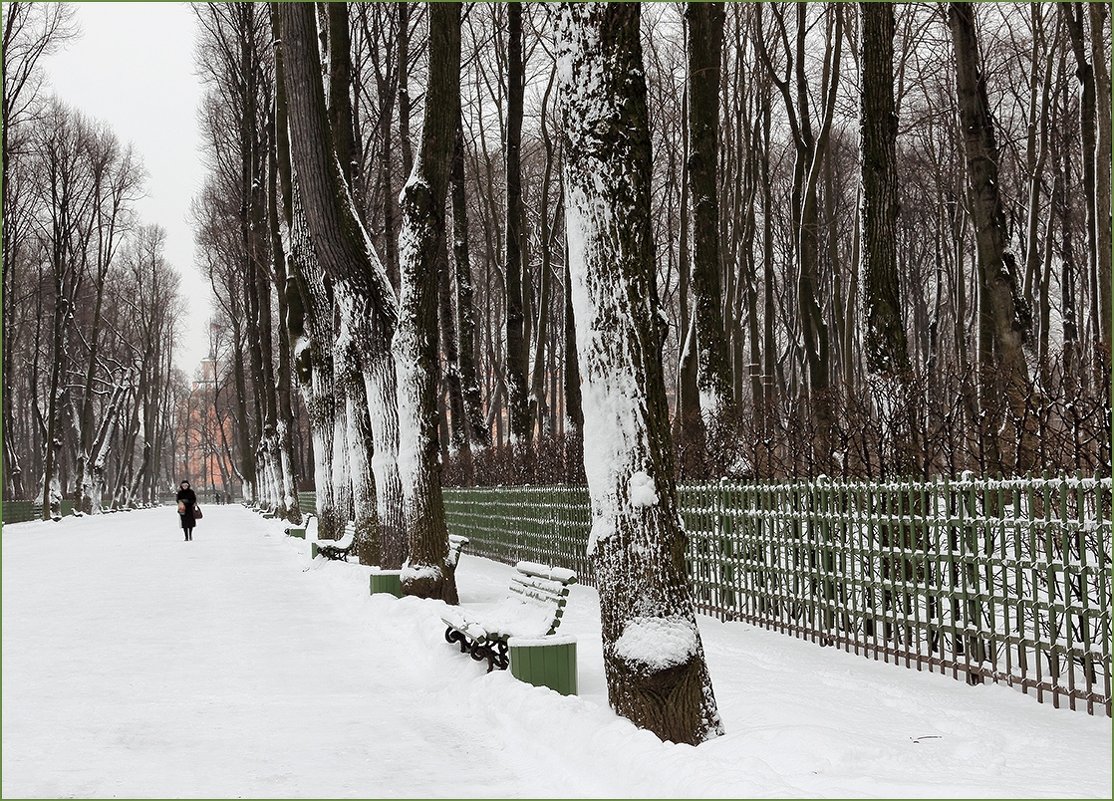 В зимнем Летнем саду - Михаил Лесин