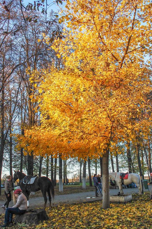 Осень в городском парке - Алексей Агалаков