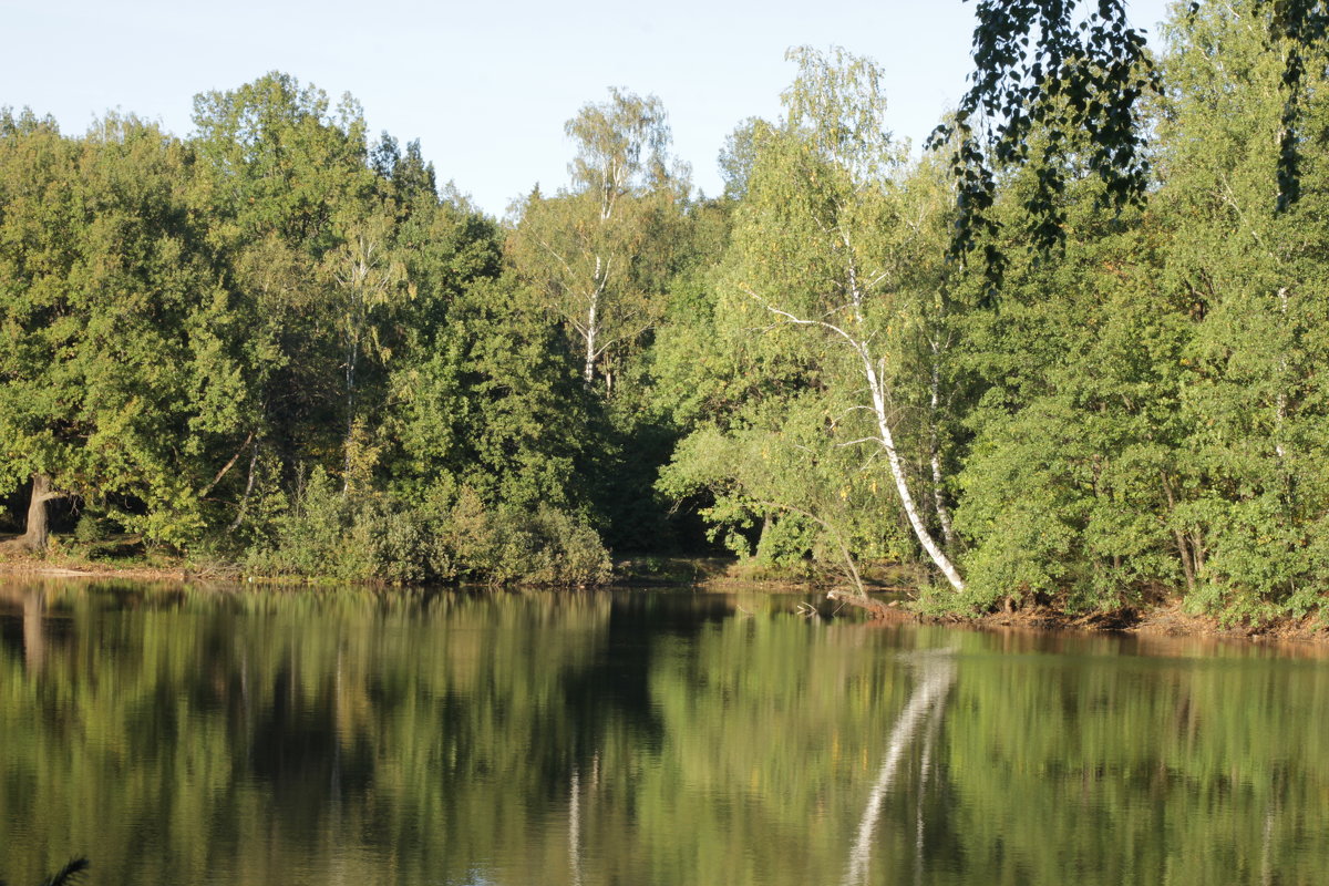 Озеро в лесу - Алексей 