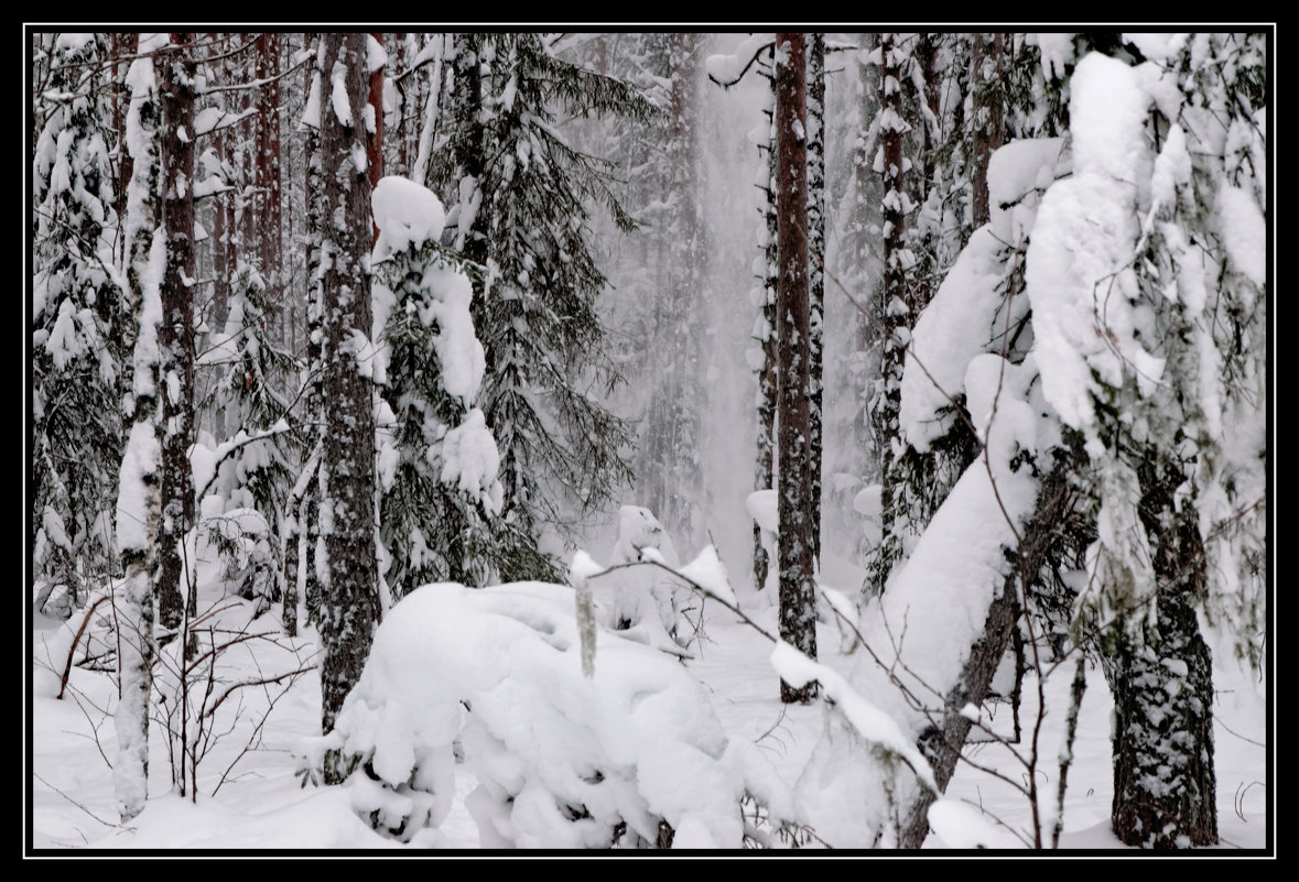 Зима - Александр Тарута
