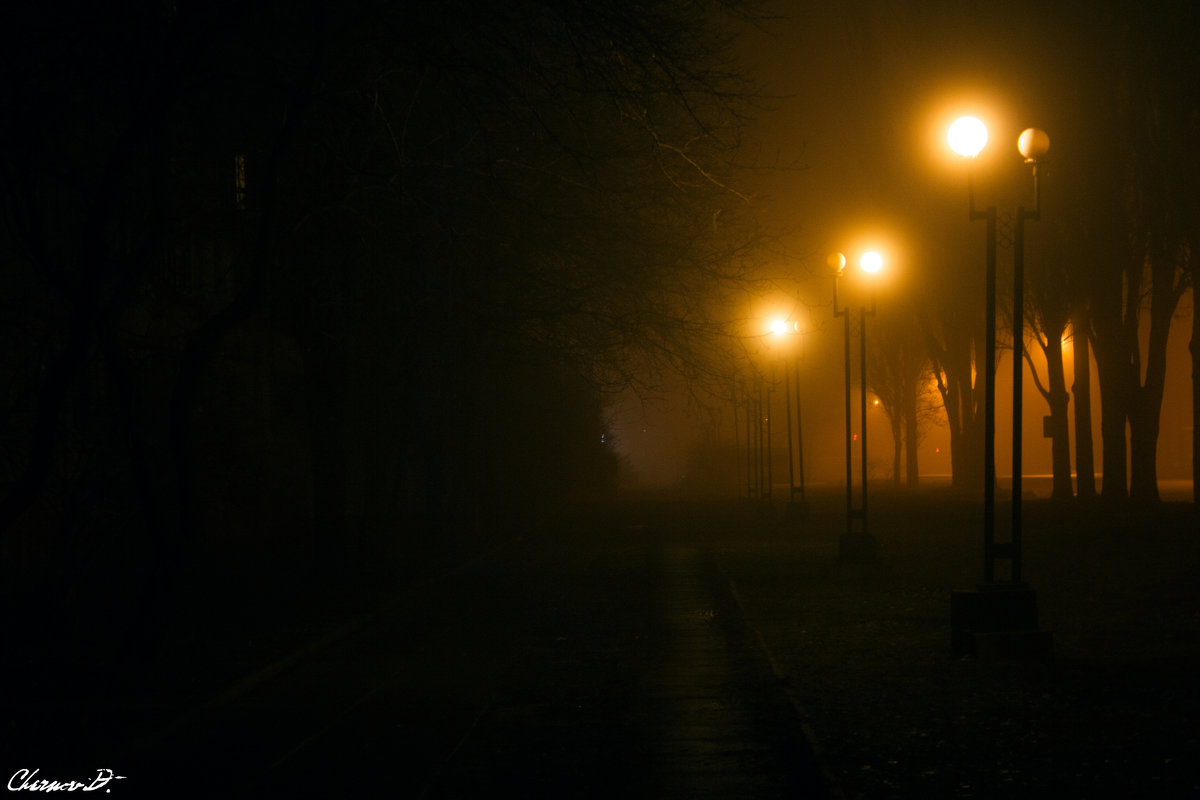 туманная ночь - Дмитрий Чернов