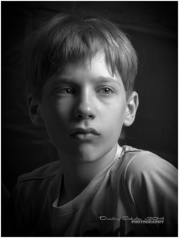 Портрет сына - Дмитрий Соколов