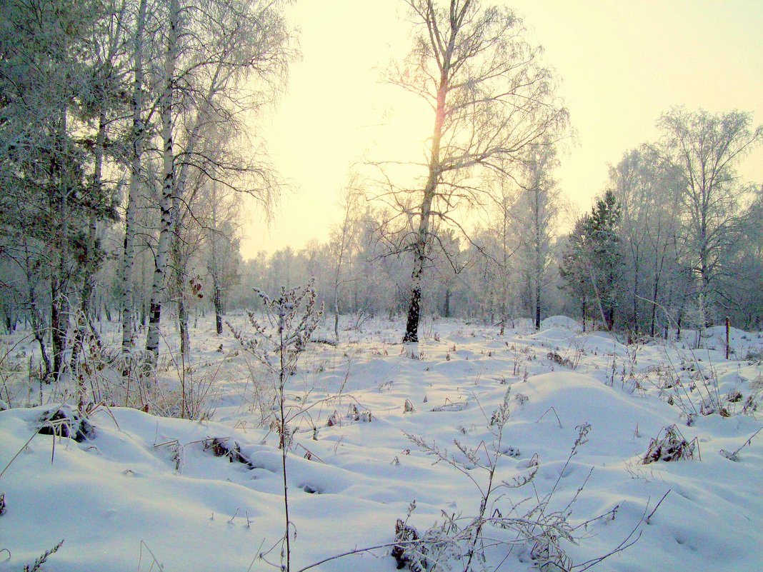 Зима в Западной Сибири