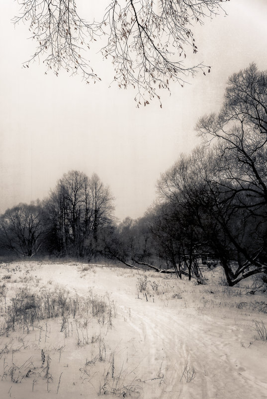 Зима - Слава Ольшевская