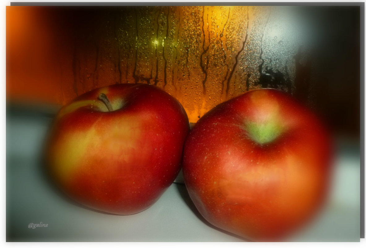 О яблоках .... - galina tihonova