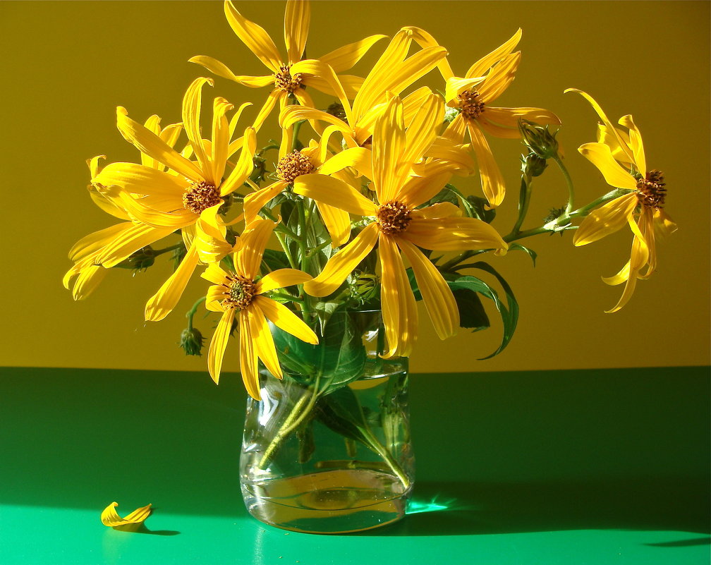 Желтые цветы - Larisa Simonenkova