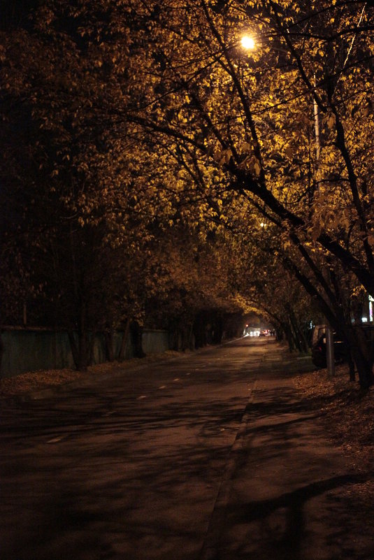 Прогулка у дороги - Андрей Сорокин
