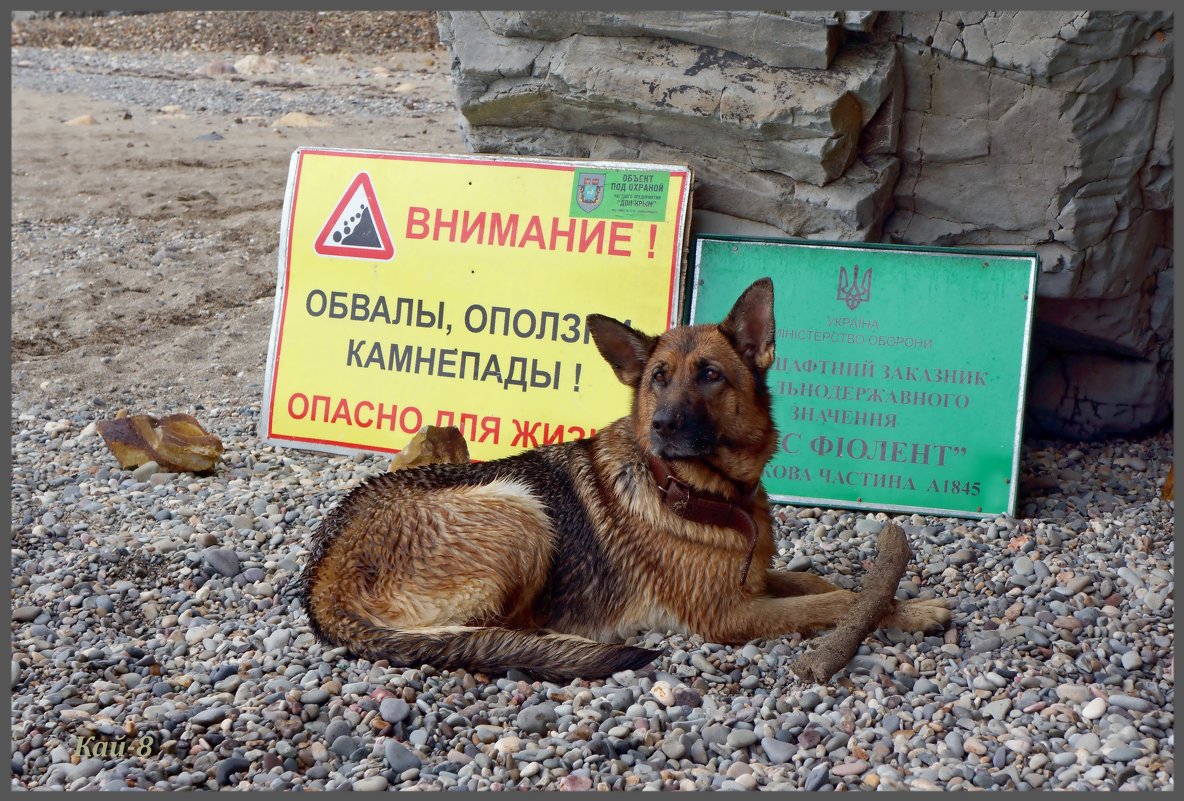 Заборонено! Заповідний пляж "військового значення" - Кай-8 (Ярослав) Забелин