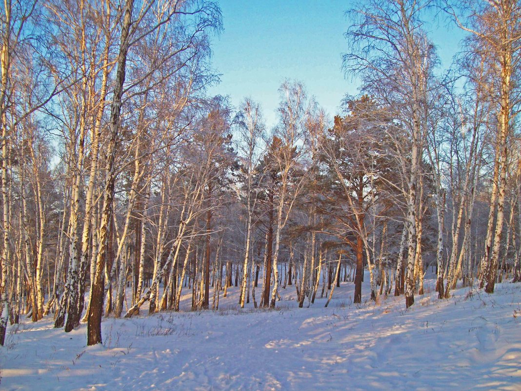 Сибирская зима - alemigun 