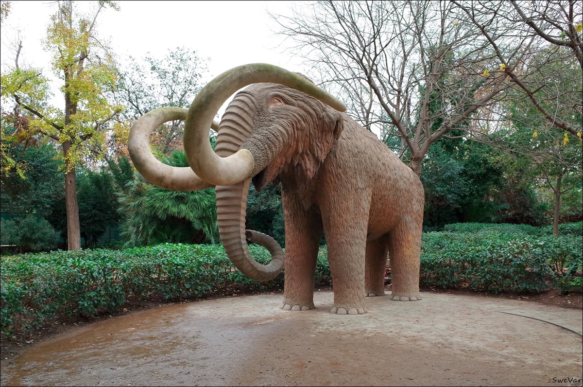 Parc de la Ciutadella Барселона - wea *