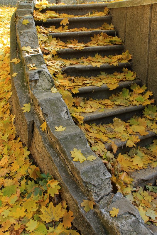 Лестница в осень - Эдуард Цветков