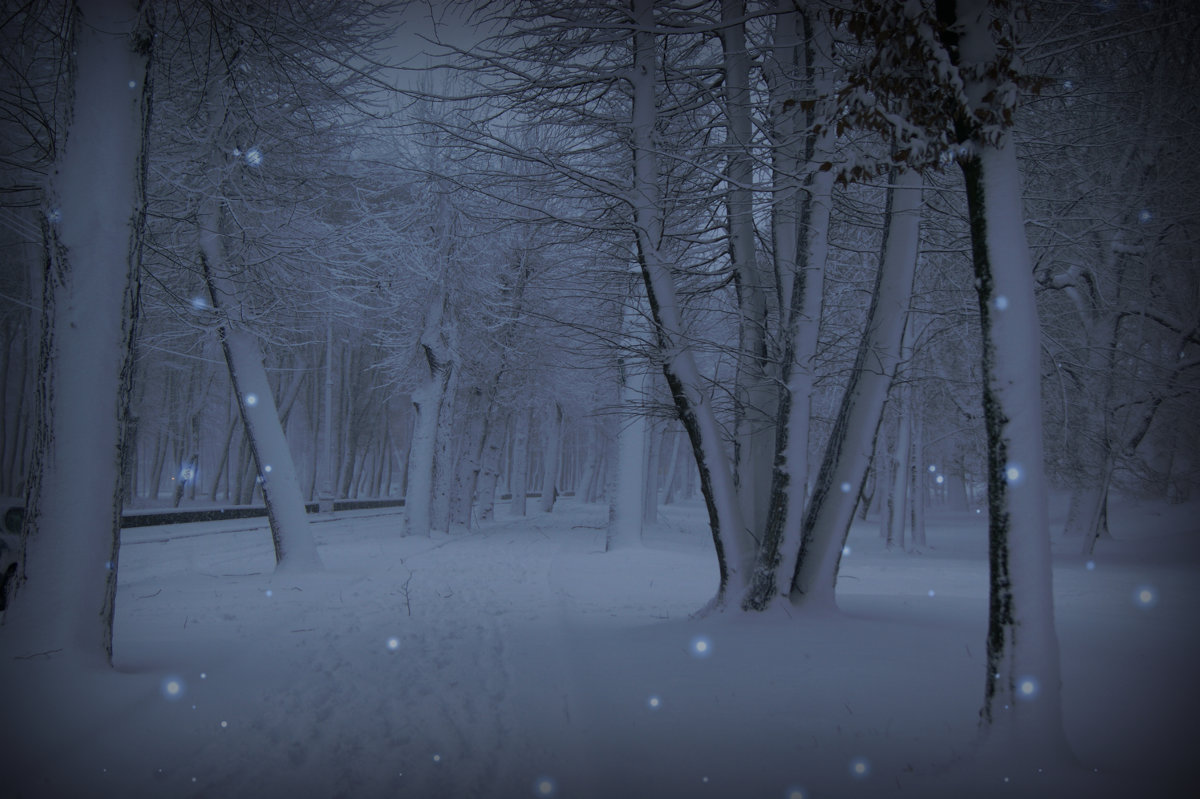 Волшебная зима... - Natalisa Sokolets