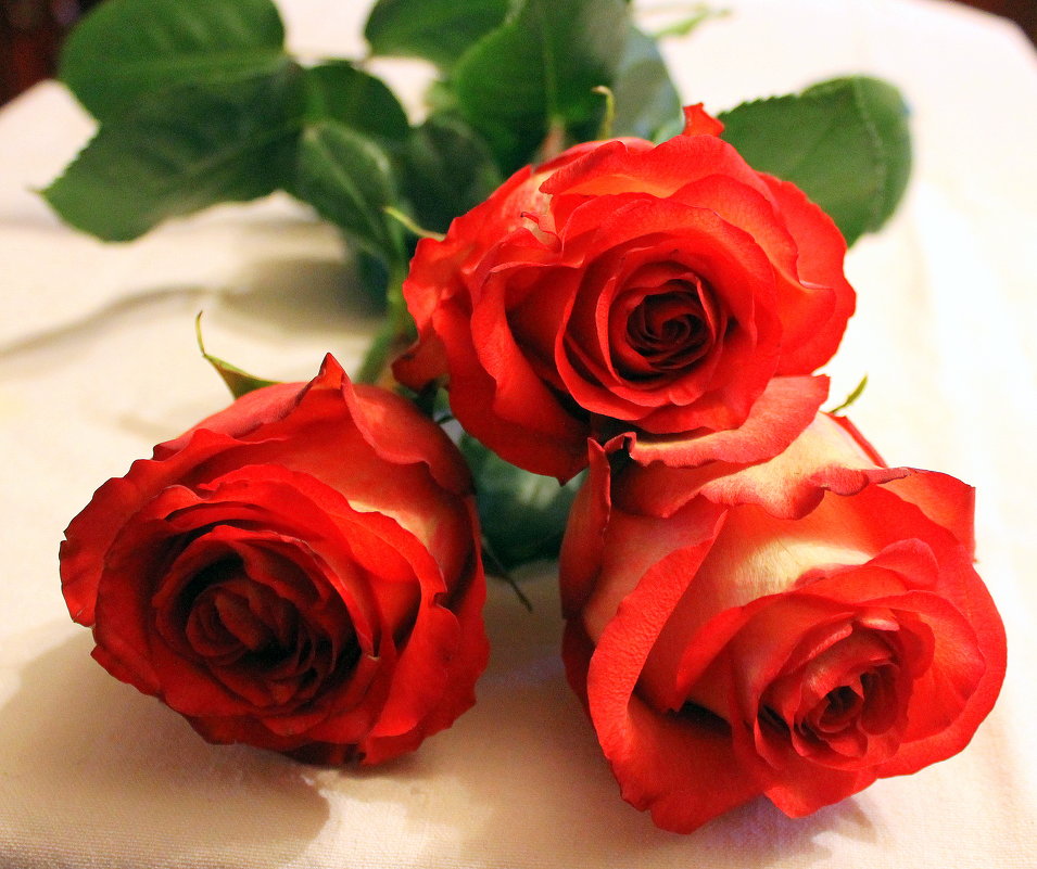 О, эти розовые розы... - Валентина ツ ღ✿ღ