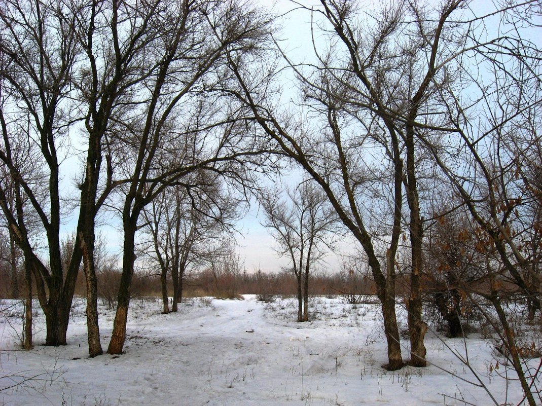 Предчувствие весны - Natali 