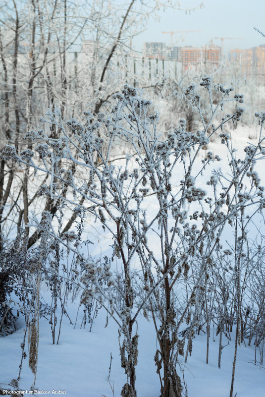 Зима - Андрей Баськов