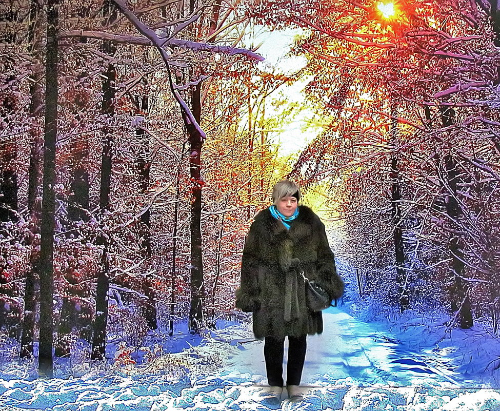 зимняя прогулка - Александр Корчемный
