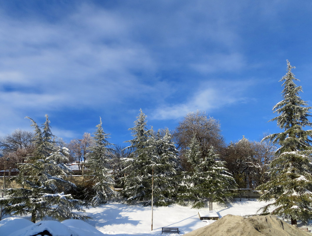 Один день зимы в Коджори - Наталья (D.Nat@lia)