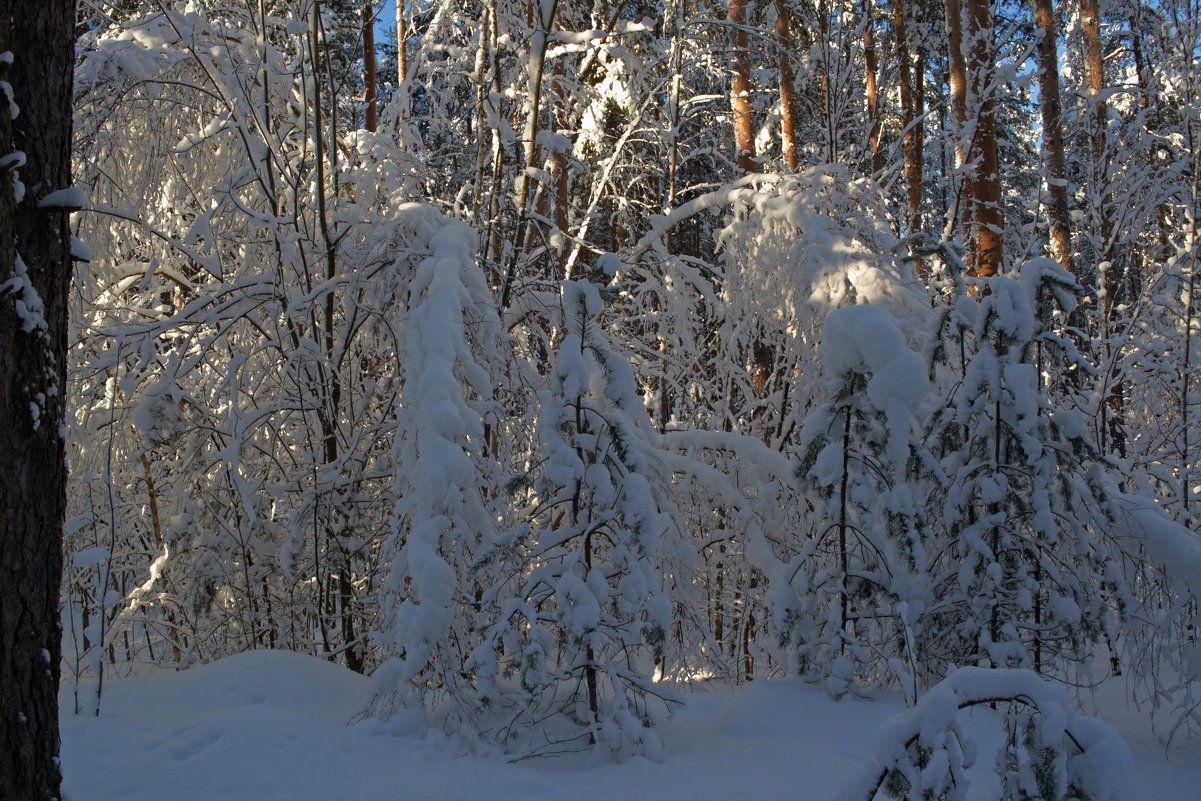 2 - Владимир Пензин