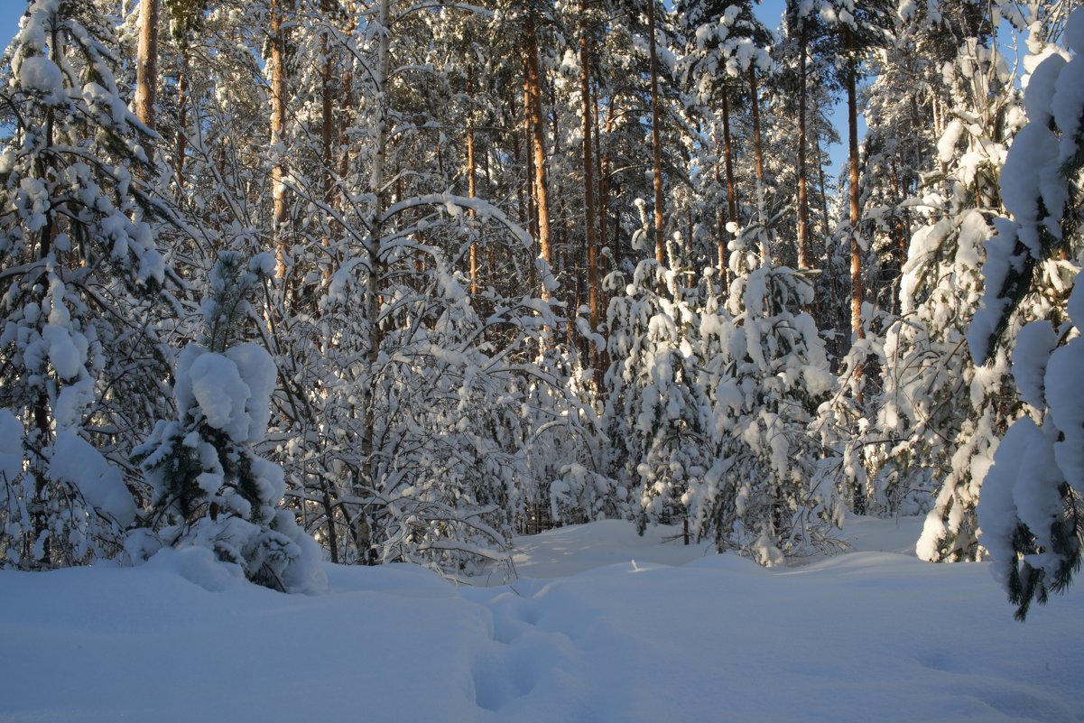 2 - Владимир Пензин