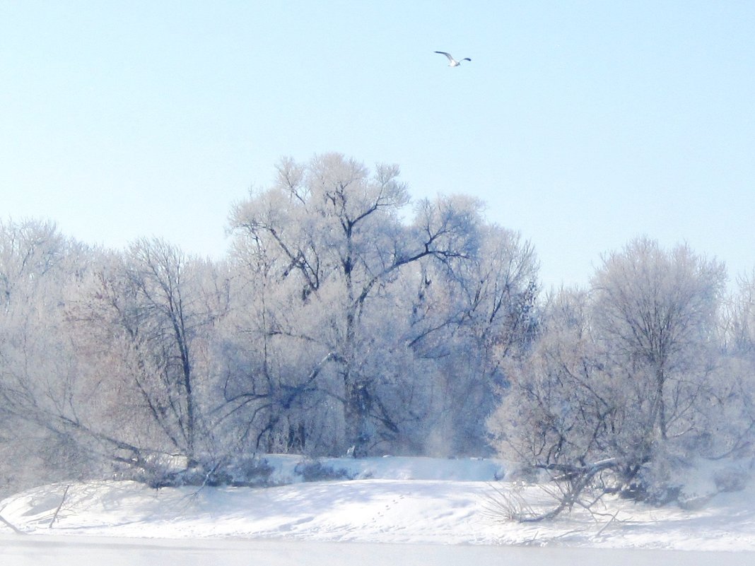 Пейзаж с чайкой - Андрей Снегерёв