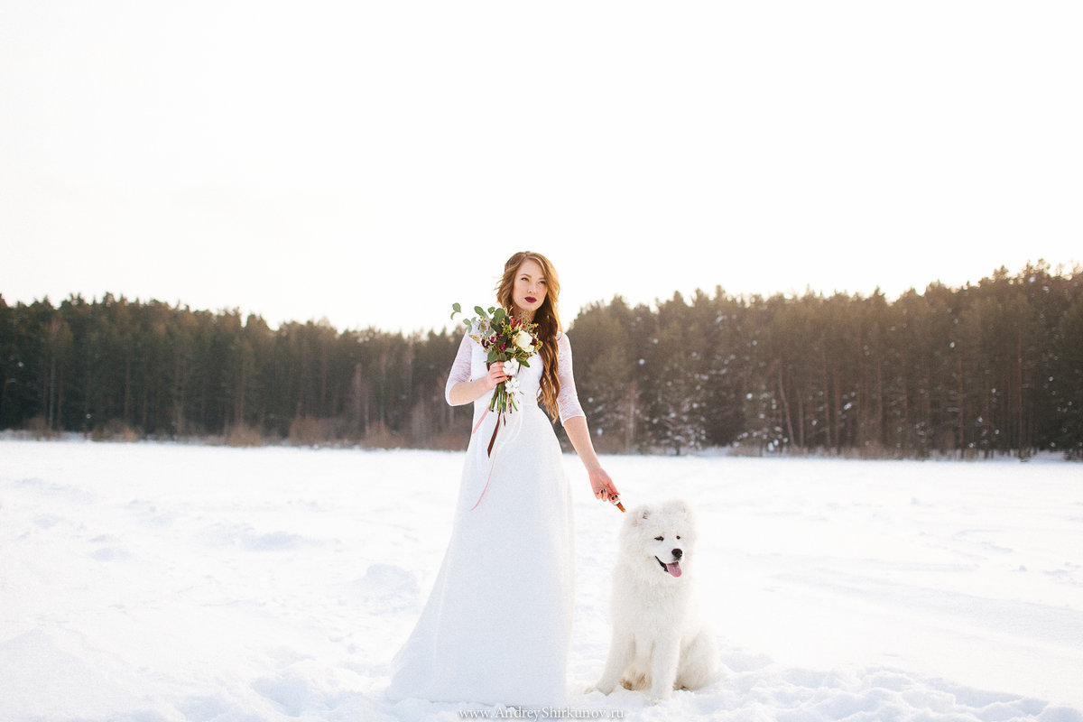 Зимняя невеста - Андрей Ширкунов