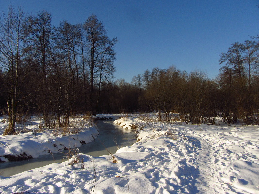 Под голубыми небесами Великолепными коврами, Блестя на солнце, снег лежит - Андрей Лукьянов