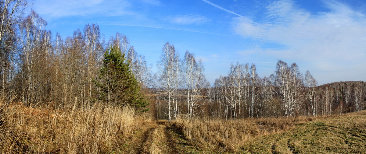 Панорама - Галина 