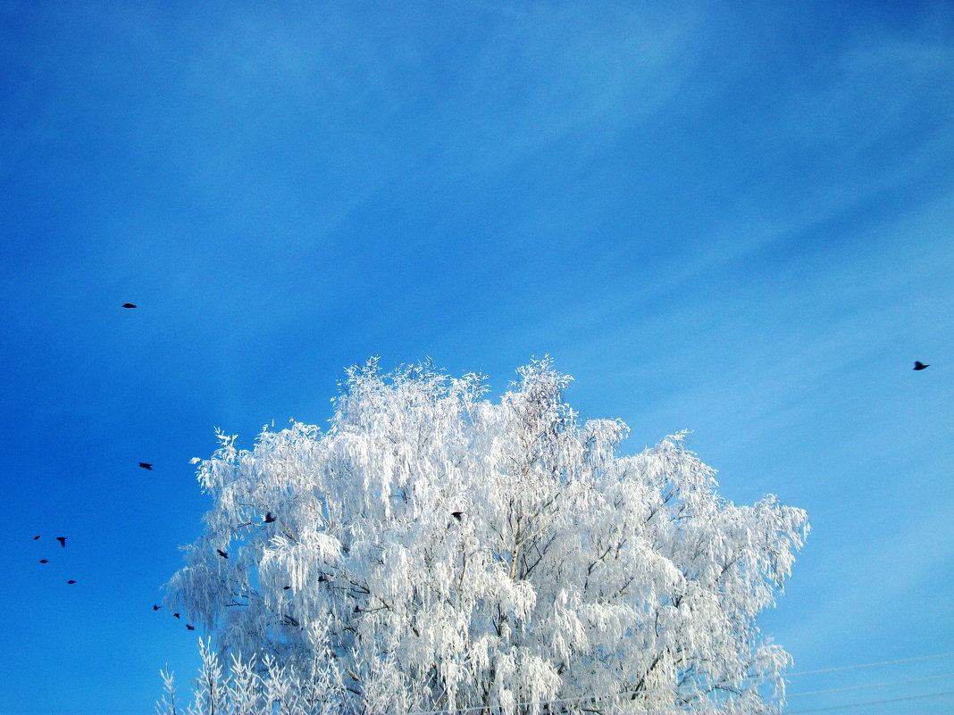 winter - Юля Рудакова