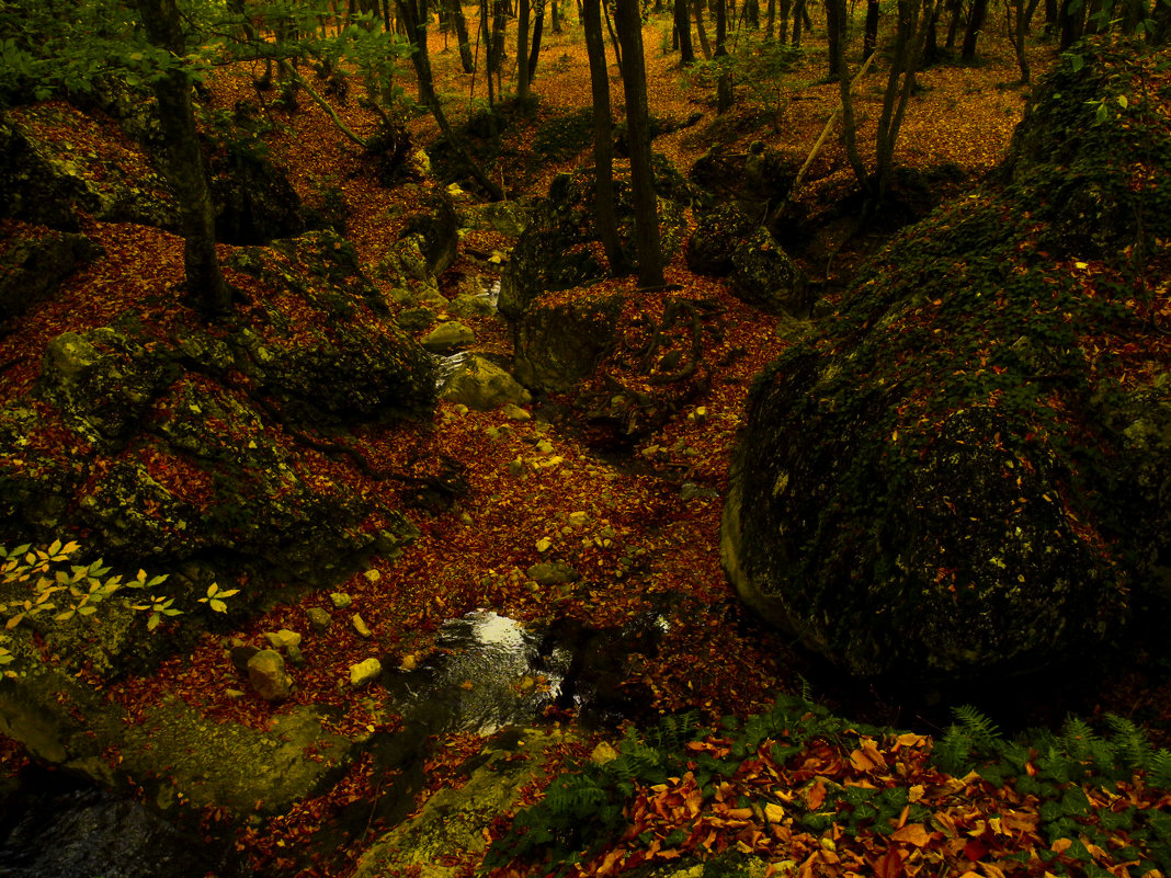 Ручей засыпаный листвой. - Yoris2012 Lp.,by >hbq/