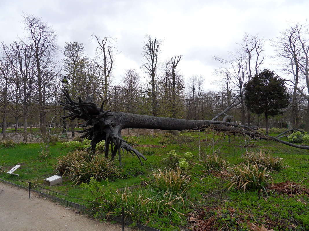 Бронзовая скульптура поваленного дерева - Natalia Harries