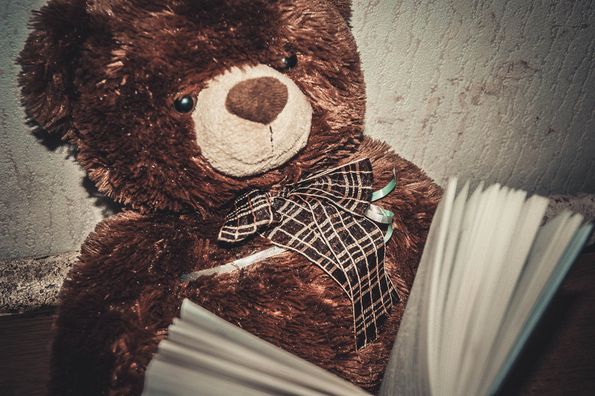 Чтение медведя - Света Кондрашова